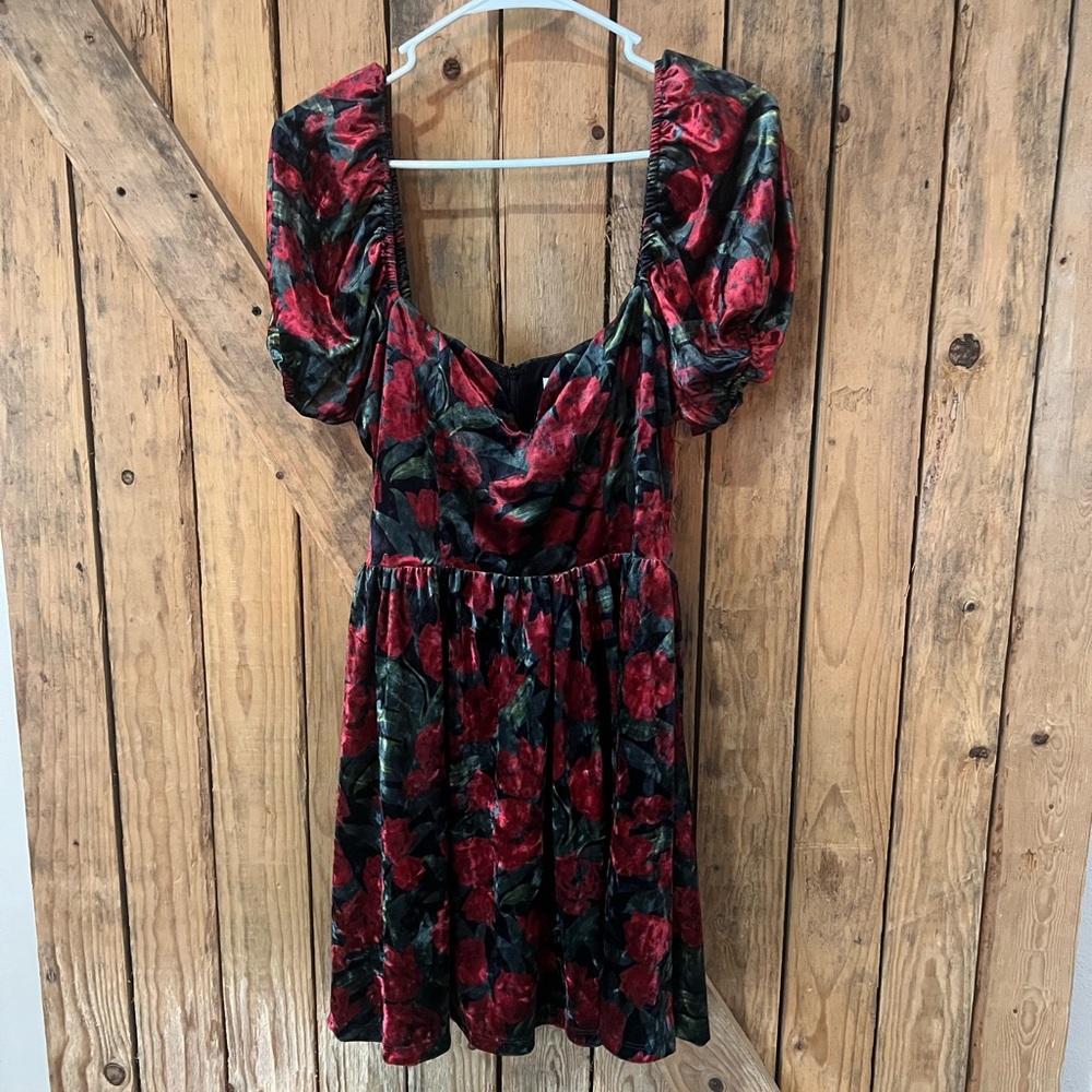 Petal & Pup Red and Green Floral Mini Dress